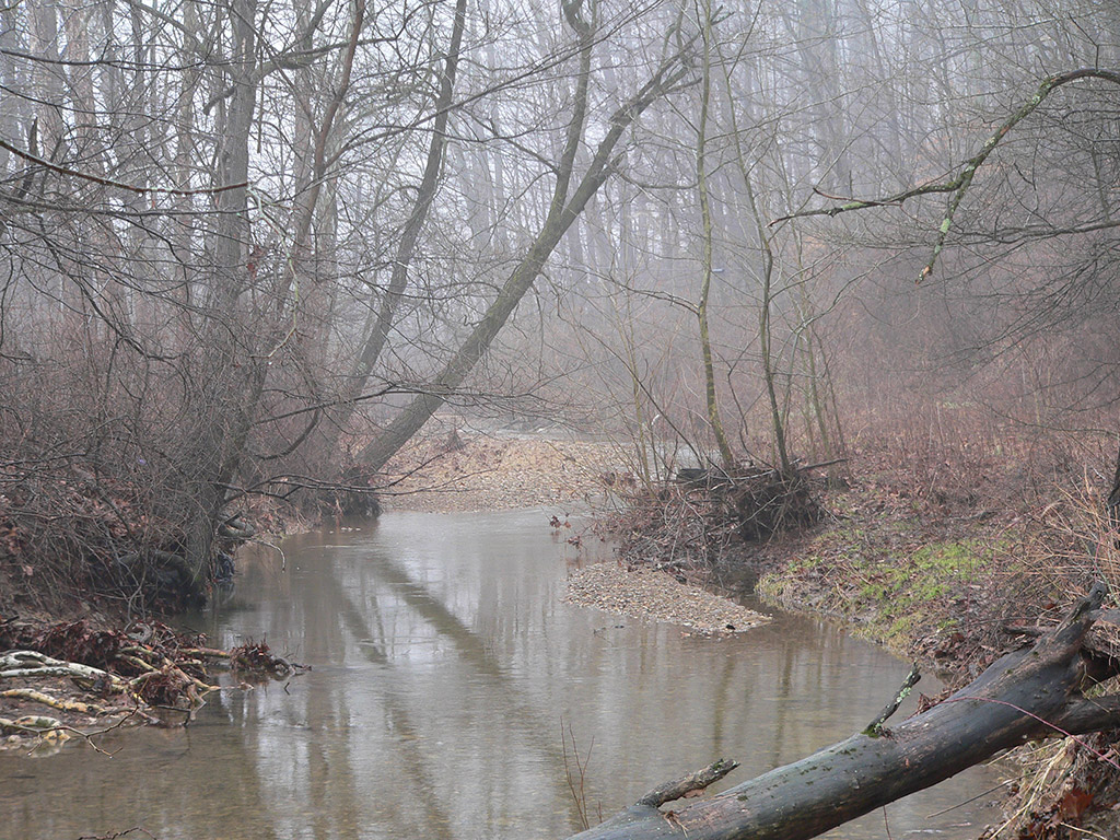 a15 Misty Creek