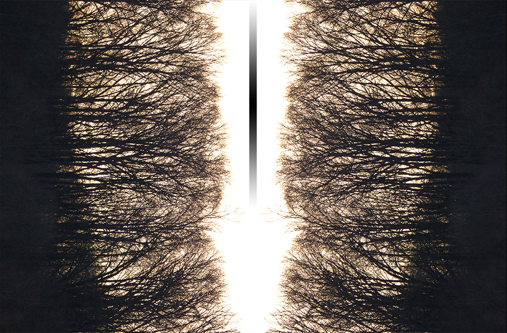 a14 Mirrored Tree Silhoettes