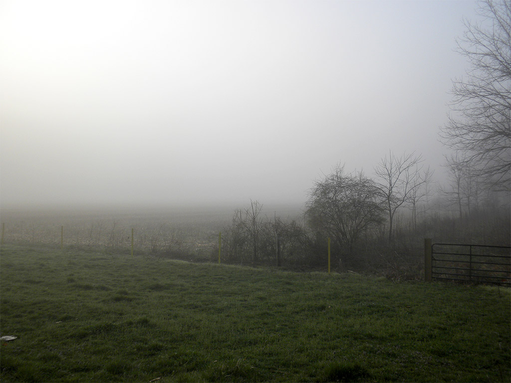 a10 Field in Fog
