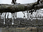 a13 Icicles